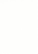 ELLE2 PARATO VINILICO TNT TINTA UNITA